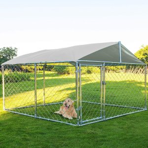 Denver Dog Fence 81eydSBIKyL. AC SL1500 300x300