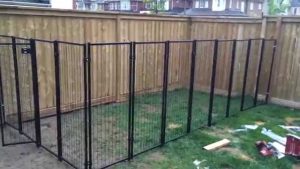 Denver Dog Fence maxresdefault 300x169