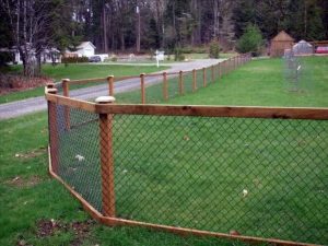 Denver Dog Fence yard dog fence ideas 300x225