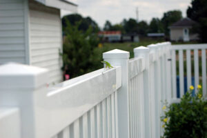 Aurora Vinyl Fence vinyl fence 03 300x200